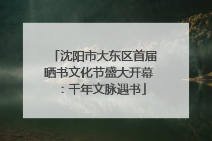 沈阳市大东区首届晒书文化节盛大开幕：千年文脉遇书