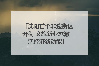 沈阳首个非遗街区开街 文旅新业态激活经济新动能