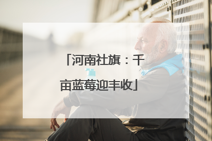 河南社旗：千亩蓝莓迎丰收