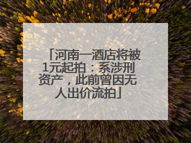 河南一酒店将被1元起拍：系涉刑资产，此前曾因无人出价流拍