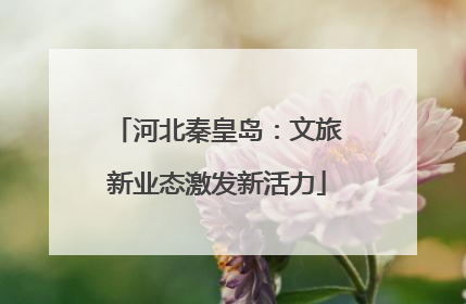 河北秦皇岛：文旅新业态激发新活力