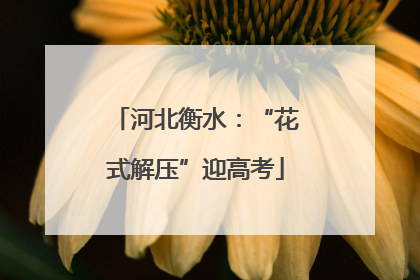 河北衡水：“花式解压”迎高考