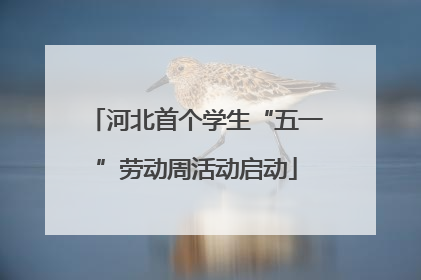 河北首个学生“五一”劳动周活动启动