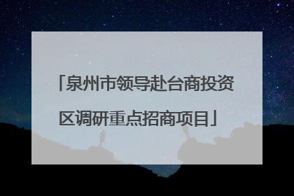 泉州市领导赴台商投资区调研重点招商项目