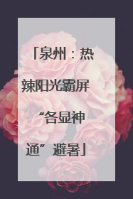 泉州：热辣阳光霸屏 “各显神通”避暑