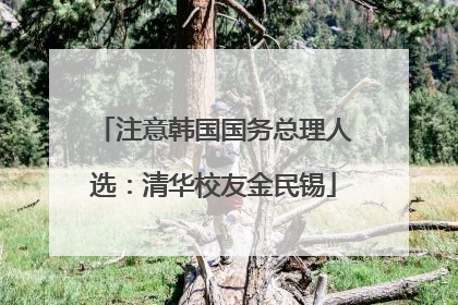 注意韩国国务总理人选：清华校友金民锡