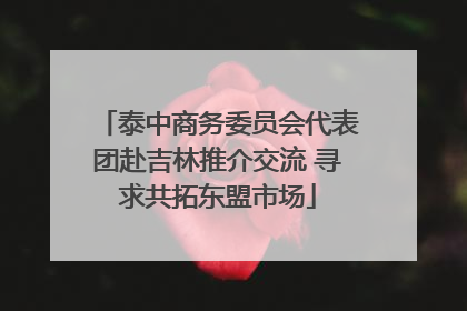 泰中商务委员会代表团赴吉林推介交流 寻求共拓东盟市场