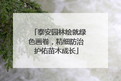 泰安园林绘就绿色画卷，精细防治护佑苗木成长