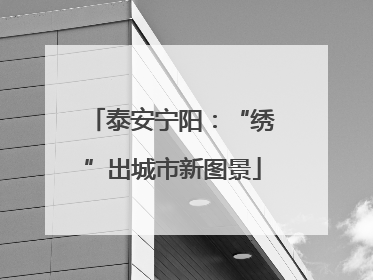 泰安宁阳：“绣”出城市新图景