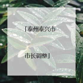 泰州泰兴市市长调整