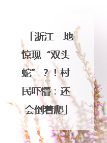 浙江一地惊现“双头蛇”？！村民吓懵：还会倒着爬