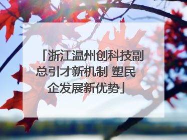 浙江温州创科技副总引才新机制 塑民企发展新优势