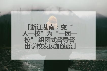 浙江苍南：变“一人一校”为“一团一校” 组团式督导督出学校发展加速度