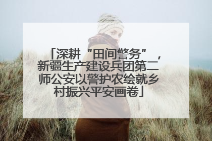 深耕“田间警务”，新疆生产建设兵团第二师公安以警护农绘就乡村振兴平安画卷