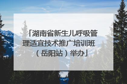 湖南省新生儿呼吸管理适宜技术推广培训班（岳阳站）举办