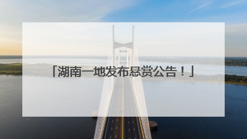 湖南一地发布悬赏公告！