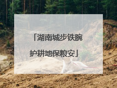湖南城步铁腕护耕地保粮安