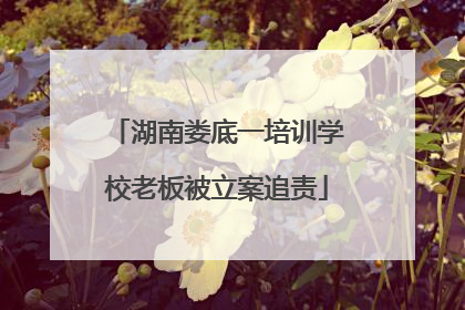 湖南娄底一培训学校老板被立案追责