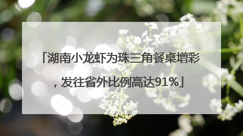 湖南小龙虾为珠三角餐桌增彩，发往省外比例高达91%