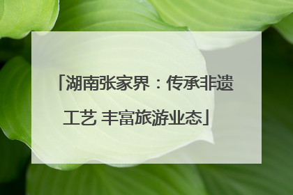 湖南张家界：传承非遗工艺 丰富旅游业态