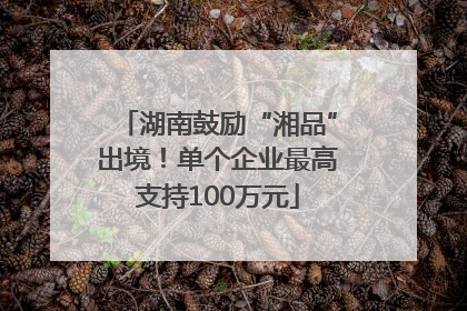湖南鼓励“湘品”出境！单个企业最高支持100万元