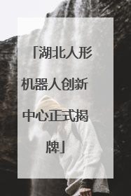 湖北人形机器人创新中心正式揭牌