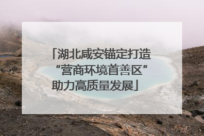 湖北咸安锚定打造“营商环境首善区”助力高质量发展