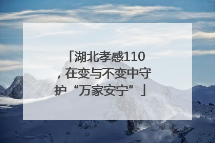 湖北孝感110，在变与不变中守护“万家安宁”