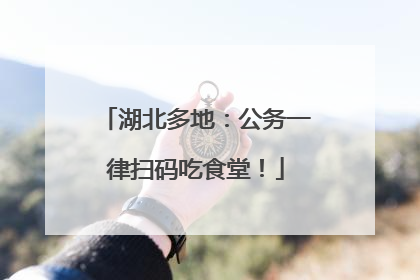 湖北多地：公务一律扫码吃食堂！