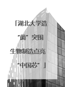 湖北大学造“菌”突围 生物制造点亮“中国芯”