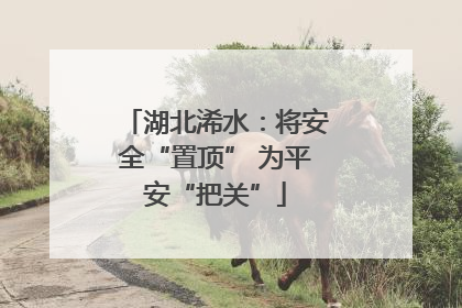 湖北浠水：将安全“置顶” 为平安“把关”