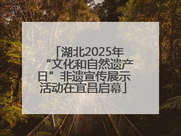 湖北2025年“文化和自然遗产日”非遗宣传展示活动在宜昌启幕