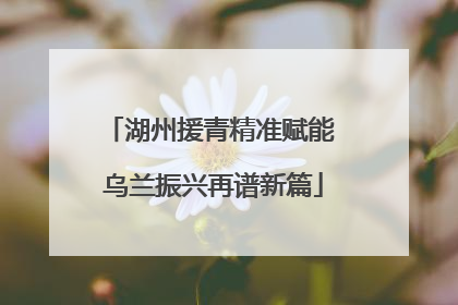 湖州援青精准赋能 乌兰振兴再谱新篇