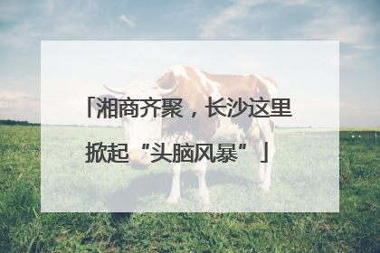 湘商齐聚，长沙这里掀起“头脑风暴”