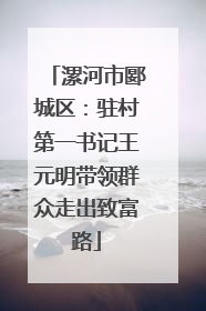 漯河市郾城区：驻村第一书记王元明带领群众走出致富路