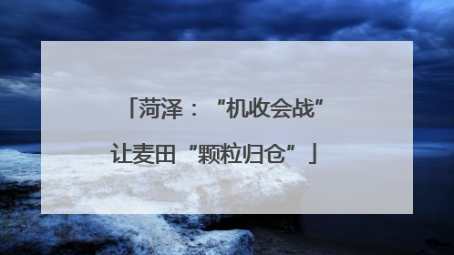 菏泽：“机收会战”让麦田“颗粒归仓”