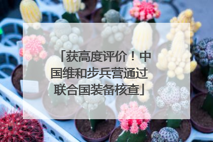 获高度评价！中国维和步兵营通过联合国装备核查