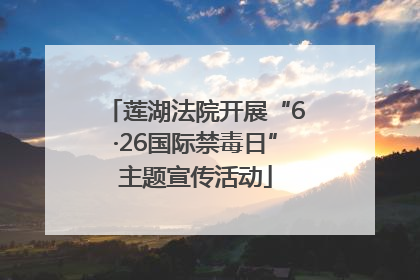 莲湖法院开展“6·26国际禁毒日”主题宣传活动