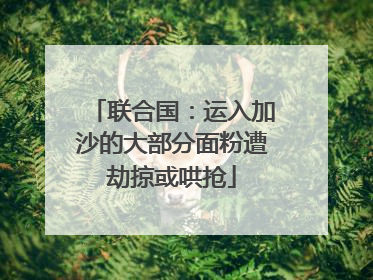 联合国：运入加沙的大部分面粉遭劫掠或哄抢
