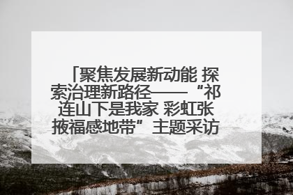 聚焦发展新动能 探索治理新路径——“祁连山下是我家 彩虹张掖福感地带”主题采访活动走进山丹