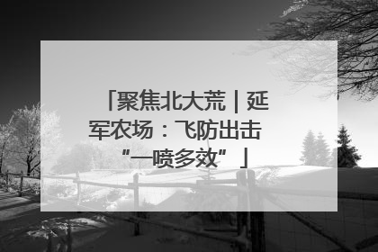 聚焦北大荒｜延军农场：飞防出击 “一喷多效”