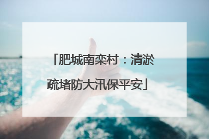 肥城南栾村：清淤疏堵防大汛保平安