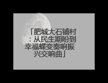 肥城大石铺村：从民生期盼到幸福蝶变奏响振兴交响曲
