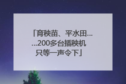 育秧苗、平水田……200多台插秧机只等一声令下