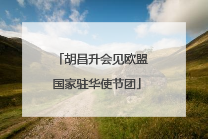 胡昌升会见欧盟国家驻华使节团