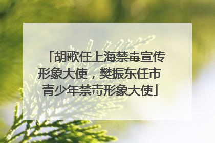 胡歌任上海禁毒宣传形象大使，樊振东任市青少年禁毒形象大使