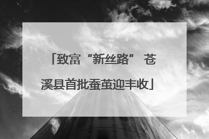致富“新丝路” 苍溪县首批蚕茧迎丰收