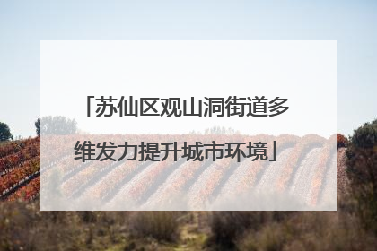 苏仙区观山洞街道多维发力提升城市环境