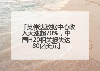 英伟达数据中心收入大涨超70%，中国H20相关损失达80亿美元