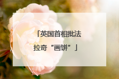 英国首相批法拉奇“画饼”